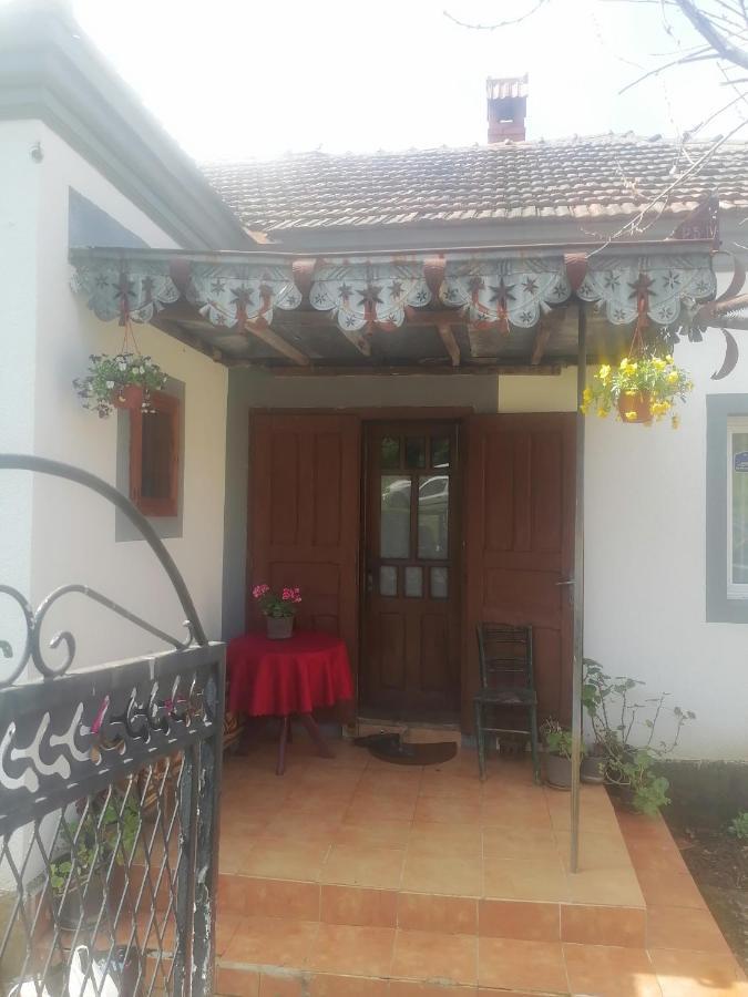 Villa Etno Kuca Badejevic Plavna Exterior foto